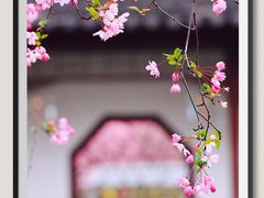 -莫愁湖公园