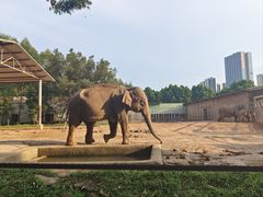 -东莞香市动物园