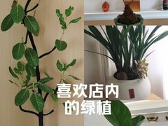 -瑶舍头疗·瑶浴·芳香热石SPA(五洲国际店)