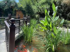 -聚缘堂·海鲜私房菜(松岭路店)