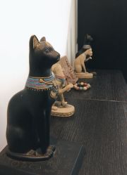 -榕树上·瑜伽普拉提