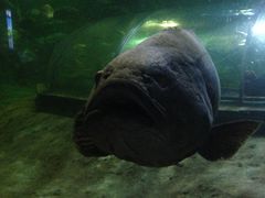 -厦门海底世界