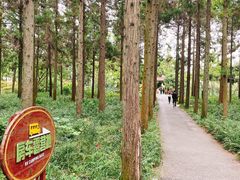 -东平国家森林公园