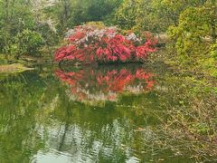 -柯岩风景区