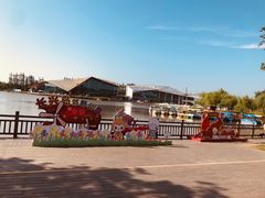 -上海长兴岛郊野公园