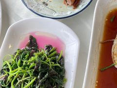 -云中小雅