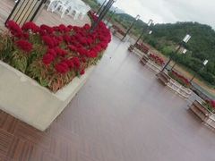 android_upload_pic-千岛湖品鱼馆(钓鱼岛店)