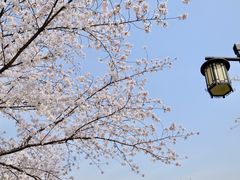 -苏州上方山国家森林公园