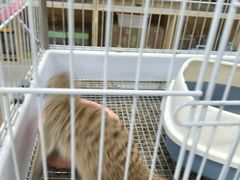 -大悦城(沈阳中街店)