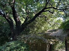 -大连植物园