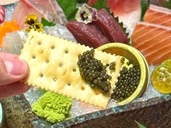 -鱼四季(五彩世界店)