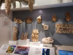 -重庆自然博物馆(新馆)