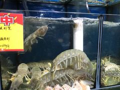 -蚝专家(北滘店)
