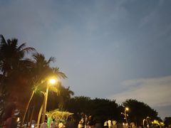 -深圳湾公园(南山区)