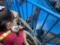 -华夏文旅海洋公园