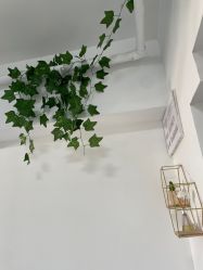 -凡碧诗毛孔收细