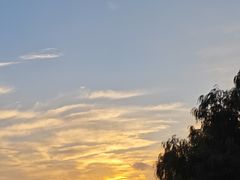 -王顺山国家森林公园