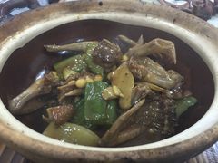 -粤顺食鸽专门店