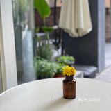 大学路的咖啡馆都很小清新