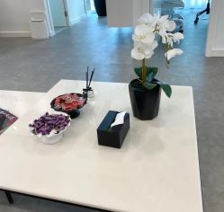 -芙芬芳·半永久纹眉（深圳旗舰店）