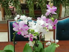 -中家鑫园温泉酒店鑫悦汤泉