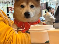 -星巴克臻选(湖滨道店)