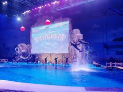 -华夏文旅海洋公园