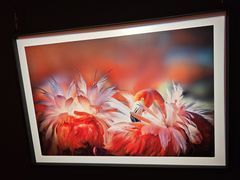 -罗红摄影艺术馆