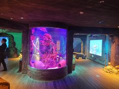 -沈阳海洋探索中心