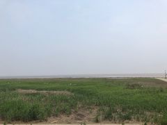 -南汇嘴观海公园
