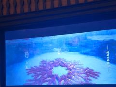 -青泰足浴·SPA养生连锁(新区店)