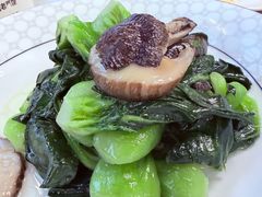 香菇炒青菜-二泉园老菜馆·百年无锡菜