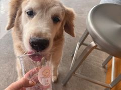 -YOLO COFFEE悠乐咖啡