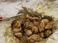 花螺-寻味顺德·珍之宝酒楼(银钻店)