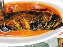 -船家渔(徐州北路店)