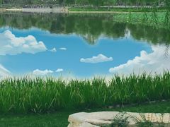 -西海子公园