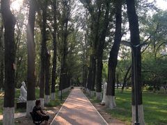 -黑龙江中医药大学