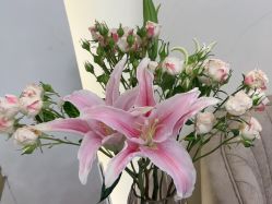 -MIDA蜜哒•科技逆龄美肤连锁