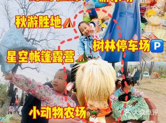 19.9北京近郊春季胜地/露营️/农家乐｜烤串/游乐场