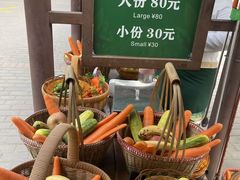 -野象谷景区