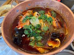 -极乐小煮·成都冒菜(科技绿洲店)