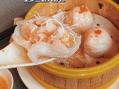 -采蝶轩