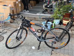 -道路口单车爱瓦士dahon大行