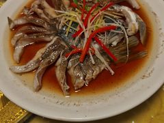 -煲来饱去冷水鱼