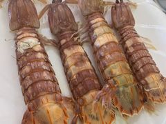 -桔子海鲜烧烤大排档(台东店)