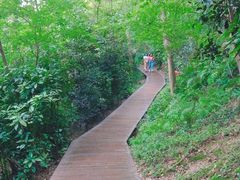 -上海佘山国家森林公园西佘山园