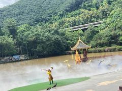 -西双版纳原始森林公园