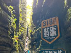 -梭布垭石林景区