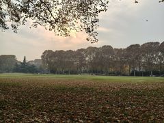 -河南省黄河迎宾馆