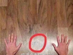 -格斗兄弟搏击健身训练馆(望京店)